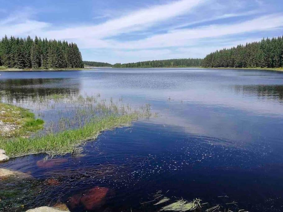 Ferienwohnungen Carlsfeld Eibenstock Bagian luar foto